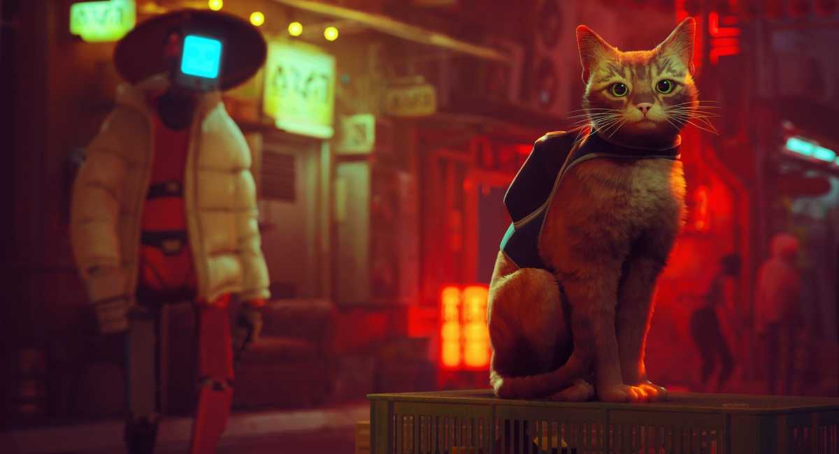 ‘Stray’ Video Game Adaptation in the Works