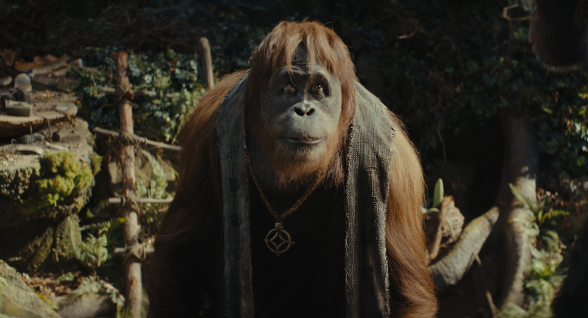 'Kingdom of the of the Apes' Teaser Trailer Moviefone