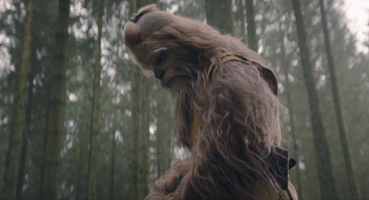 Jedi Master Kelnacca (Joonas Suotamo) in Lucasfilm's 'The Acolyte,' exclusively on Disney+.