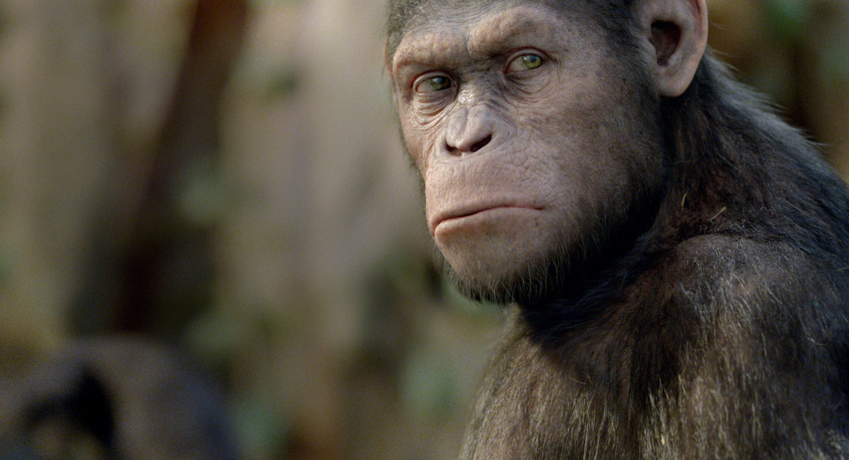 Andy Serkis as Caesar in 'Rise of the Planet of the Apes.'