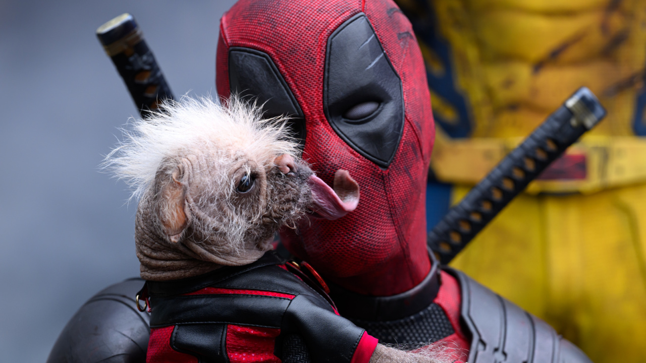 Dogpool and Ryan Reynolds as Deadpool/Wade Wilson and Hugh Jackman as Wolverine/Logan in 20th Century Studios/Marvel Studios' 'Deadpool & Wolverine'.