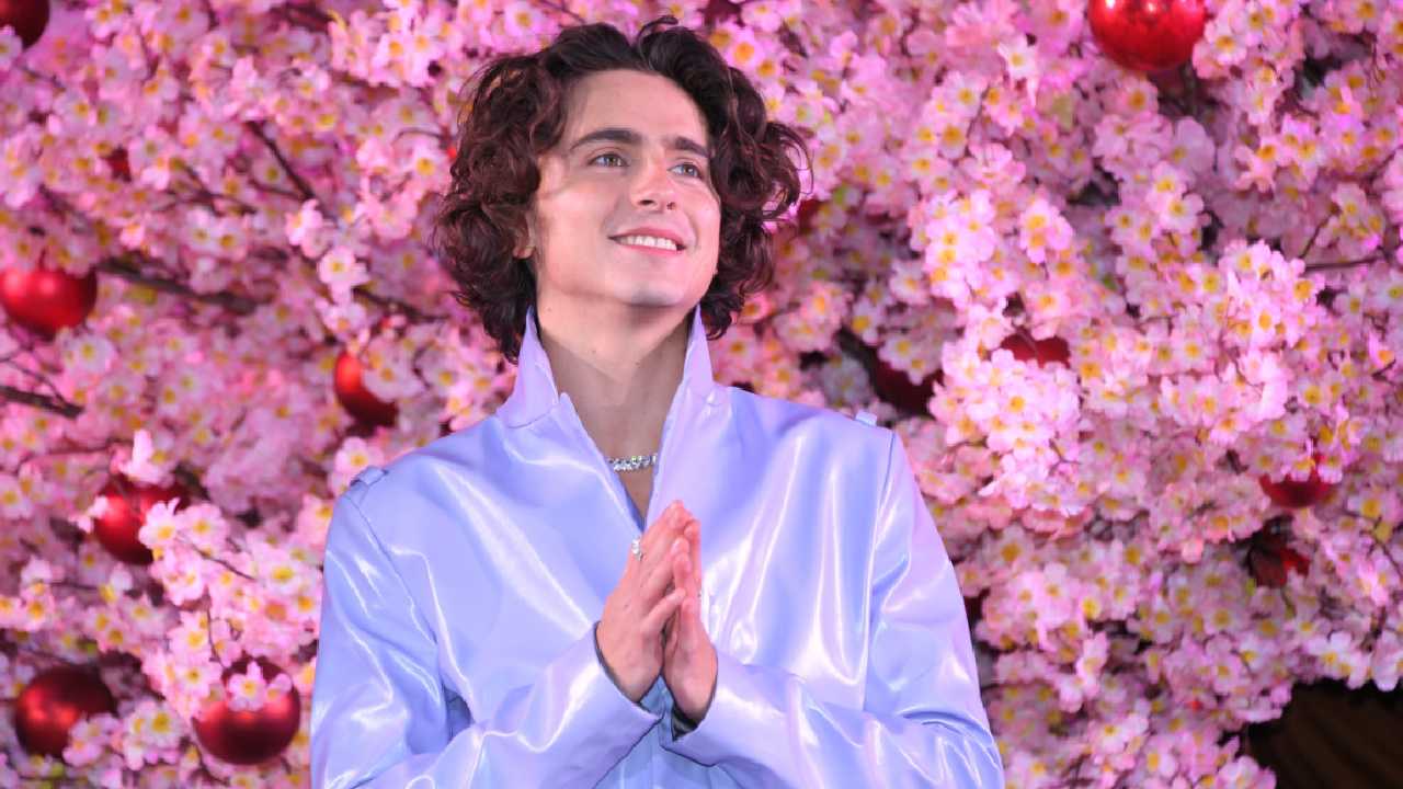 Timothée Chalamet to Star in and Produce Ping Pong Pic