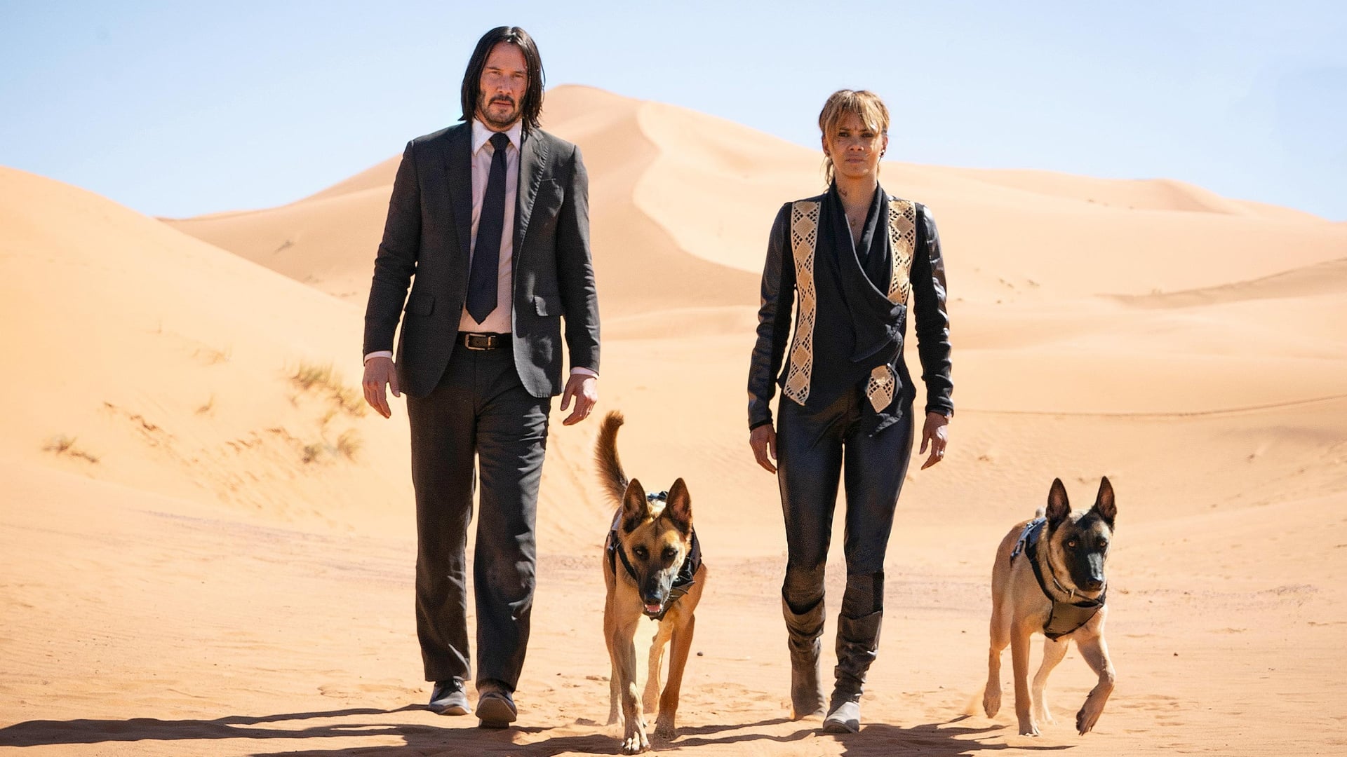 (L to R) Keanu Reeves and Halle Berry in 'John Wick: Chapter 3 - Parabellum'. Photo: Lionsgate.