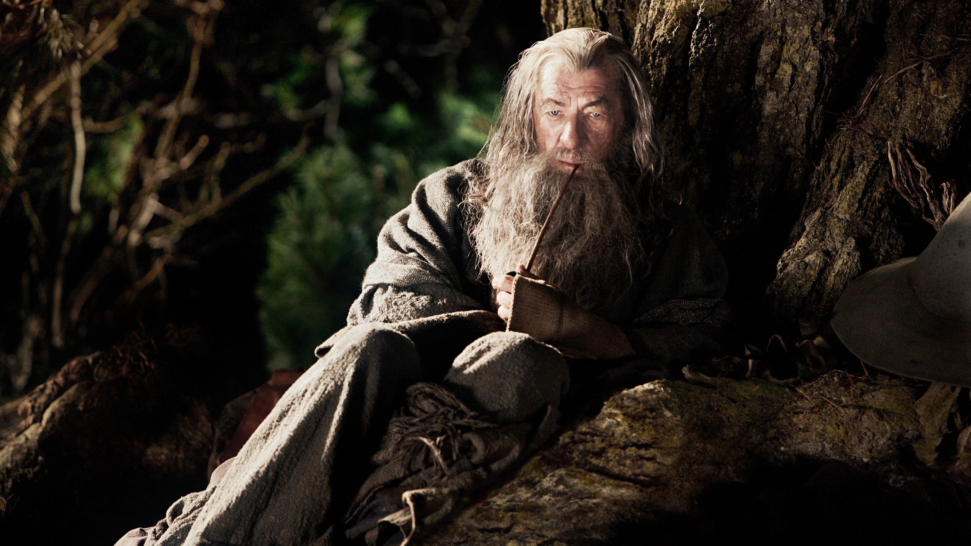 Ian McKellen as Gandalf in 'The Hobbit: An Unexpected Journey'. Photo: Warner Bros. Pictures.