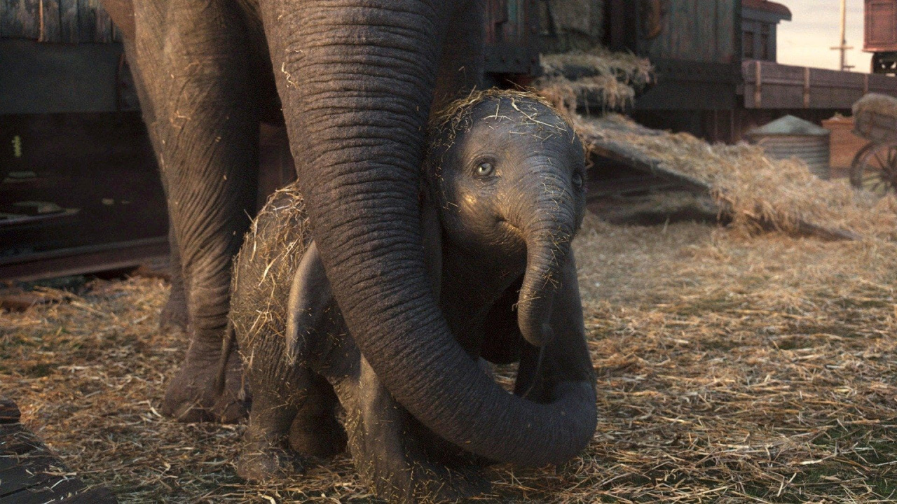 2019's 'Dumbo'. Photo: Walt Disney Pictures.