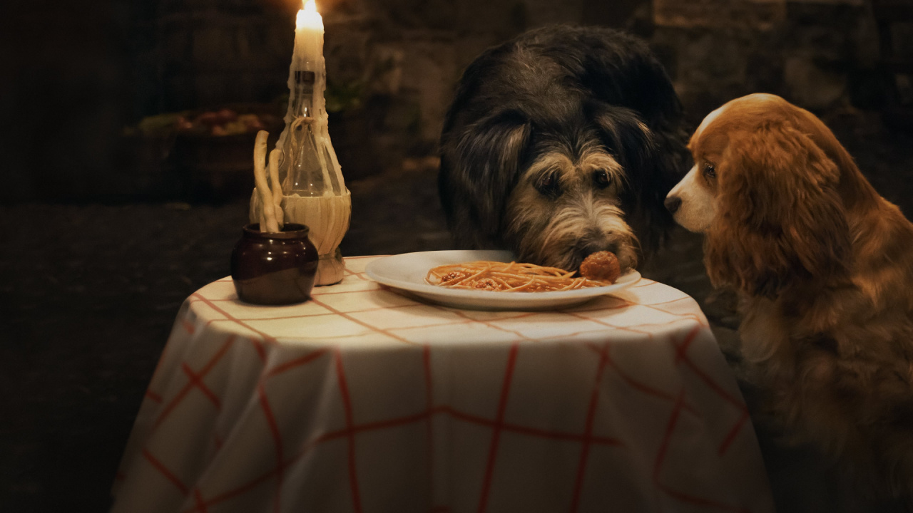 2019's 'Lady and the Tramp'. Photo: Walt Disney Pictures.