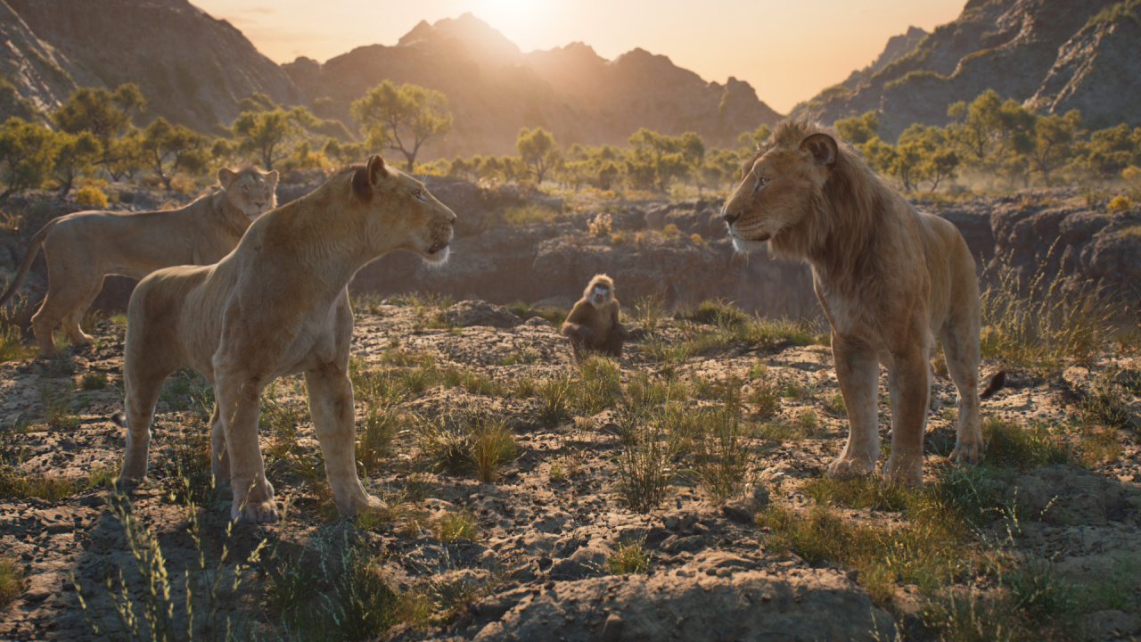 (L to R) Taka (voiced by Kelvin Harrison Jr.), Sarabi (voiced by Tiffany Boone), Rafiki (voiced by Kagiso Lediga), and Mufasa (voiced by Aaron Pierre) in Disney’s live-action 'Mufasa: The Lion King'. Photo courtesy of Disney. © 2024 Disney Enterprises Inc. All Rights Reserved.