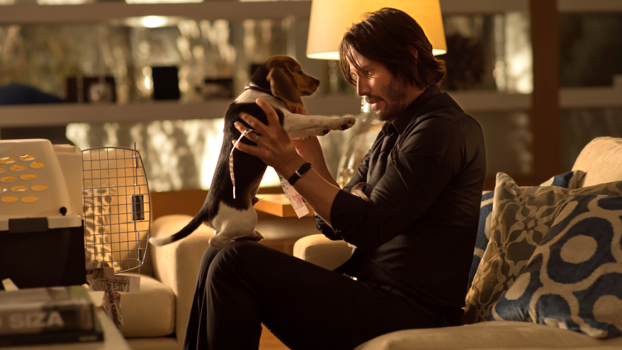 Keanu Reeves in 'John Wick'. Photo: David Lee for Lionsgate.
