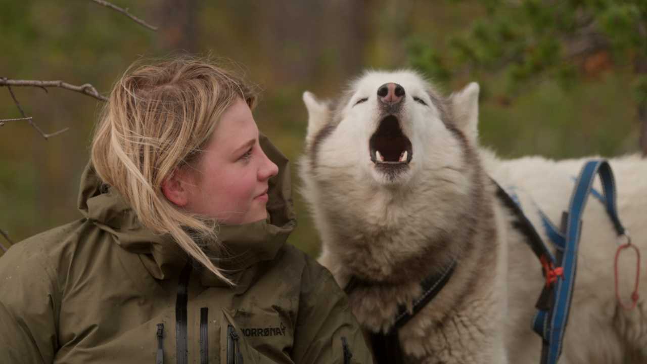 Movie Review: ‘Folktales | Moviefone