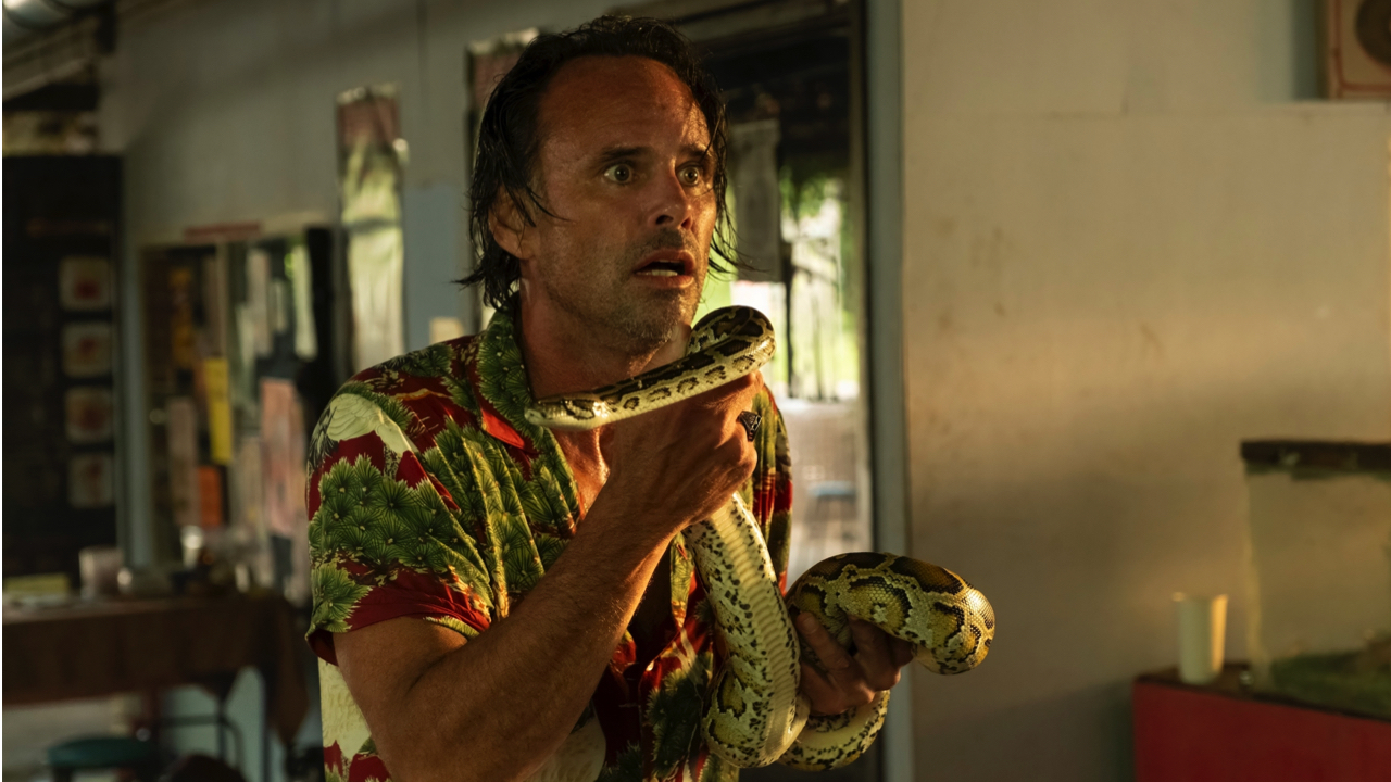 Walton Goggins in 'The White Lotus'. Photo: Fabio Lovino/HBO.