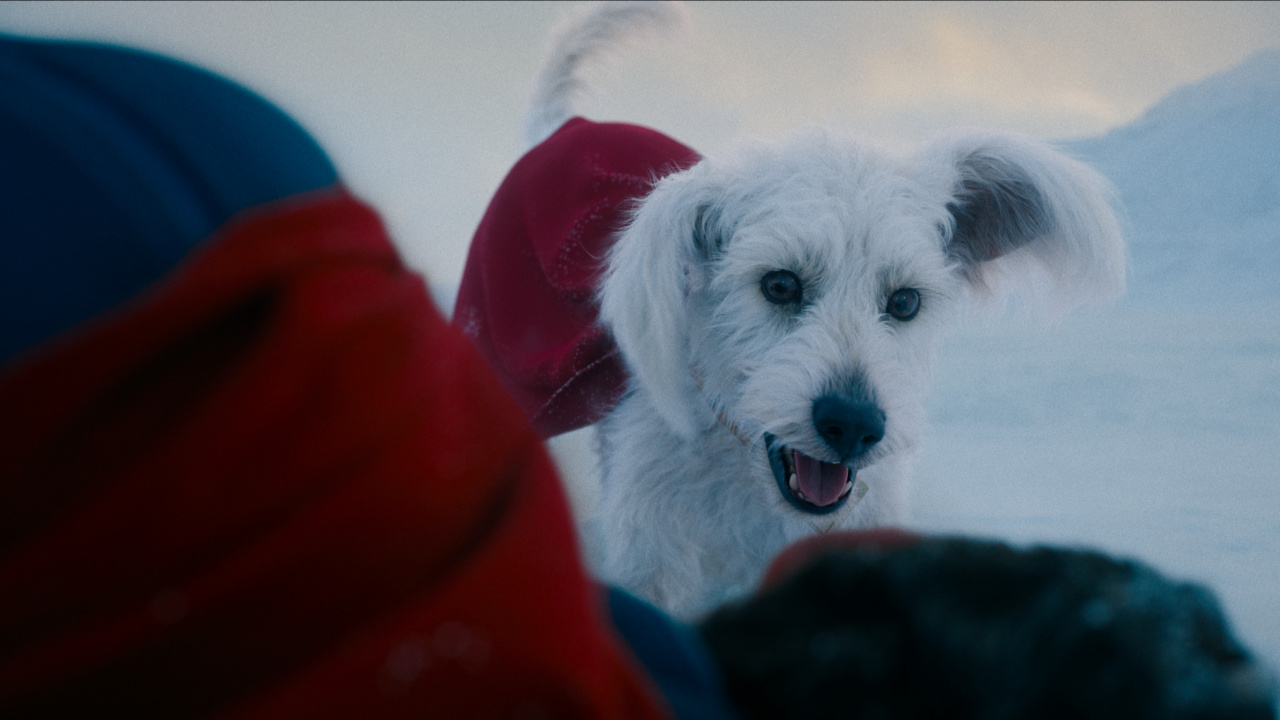 DC Studios’ and Warner Bros. Pictures’ 'Superman', a Warner Bros. Pictures release. Photo Credit: Courtesy of Warner Bros. Pictures. Copyright: © 2025 Warner Bros. Ent. All Rights Reserved. TM & © DC.