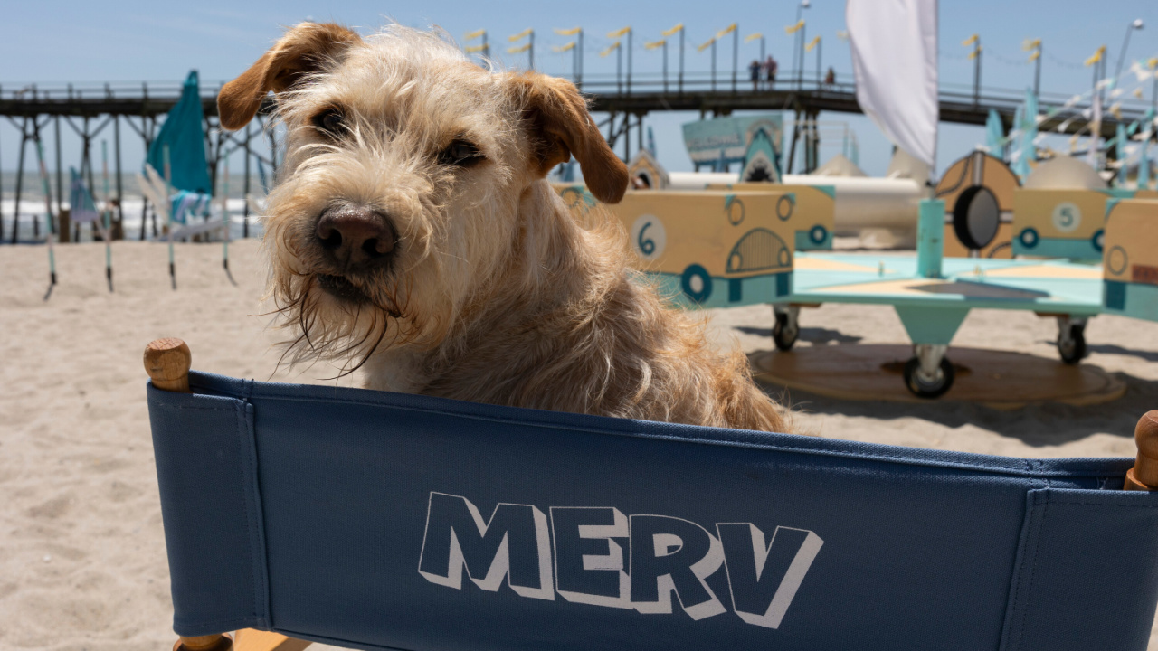 Gus on the set of 'Merv'. Photo Credit: Dana Hawley/PrimeVideo. © Amazon Content Services LLC.